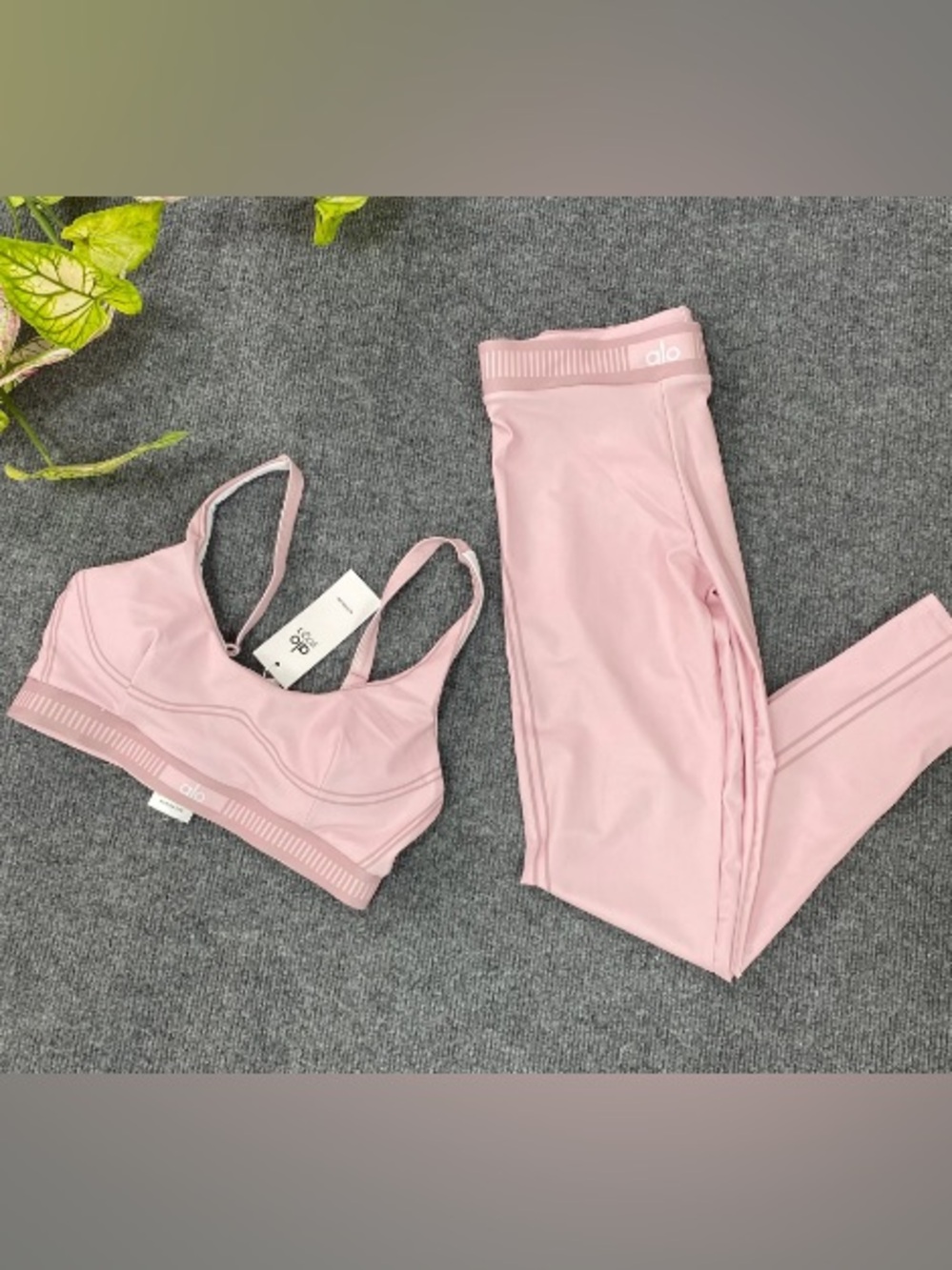 ALO Yoga Light Pink Seamless Sports Bra and Leggings Set